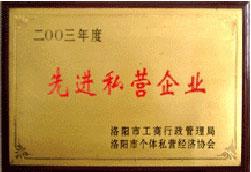 先進私營企業(yè)
